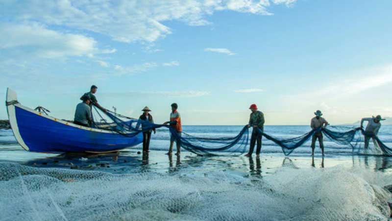 México avanza en la protección de los océanos - 2000Agro Revista Industrial  del Campo