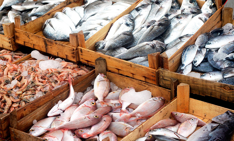 Protegen producción y consumo de pescado