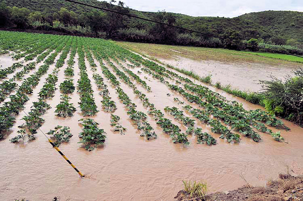 Agricultura respalda al campo mexicano ante desastres naturales
