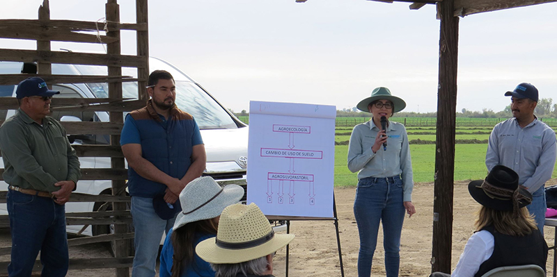 Exposición de sistema agrosilvopastoril en el Valle de Mexicali, por personal de Restauremos El Colorado, INIFAP y CBTA 41